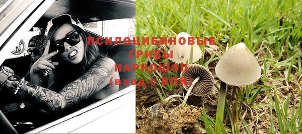 mdpv Вязьма